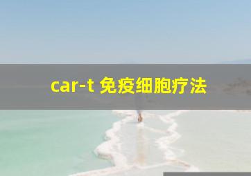 car-t 免疫细胞疗法